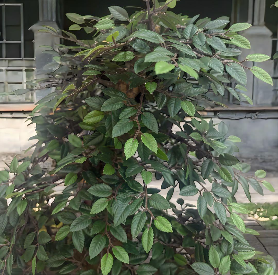 光触媒　人工観葉植物　ウォールグリーン　フェイクグリーン　盆栽　欅　けやき