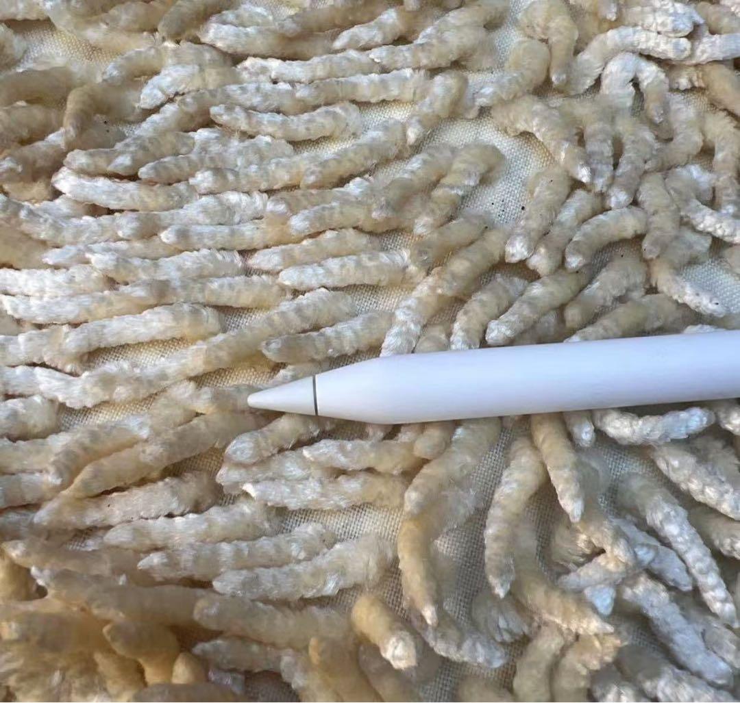 Apple Pencil（第2世代）MU8F2J/A