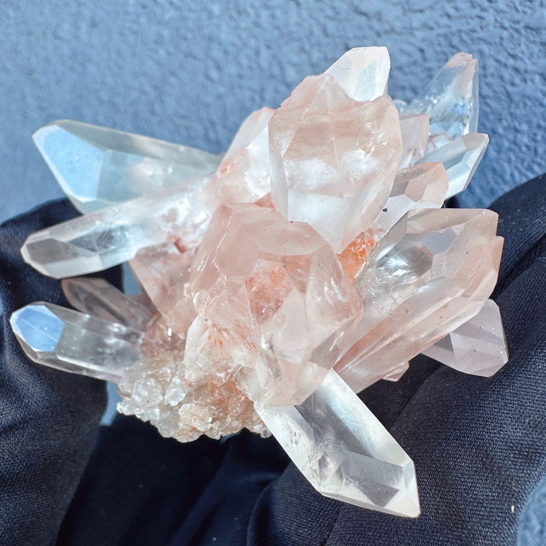 ぽんぽん♪　ヒマラヤクラスター A1168、A1244、A1185