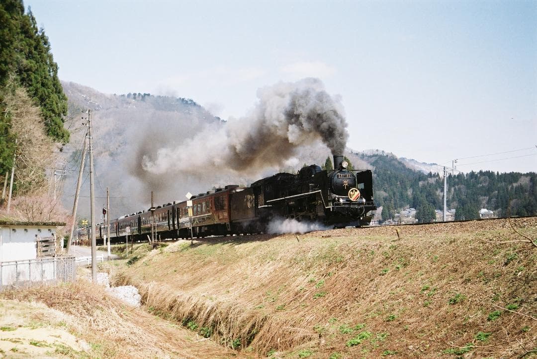 【実写確認整備品】ニッカType33／Nicca50mmf2.8フード付