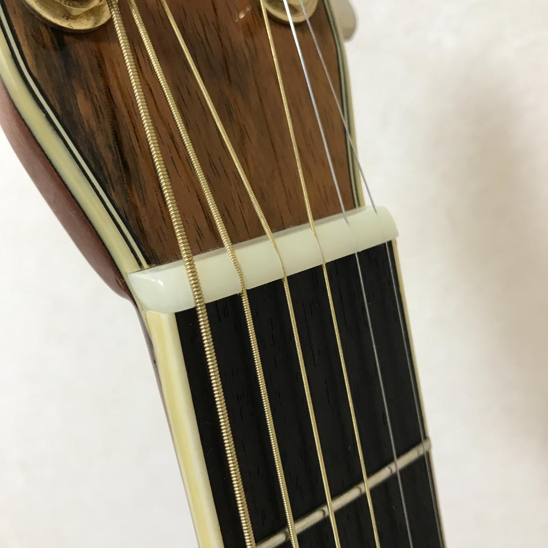 【整備品/良品】MORRIS TF-801 アコースティックギター ハカランダ