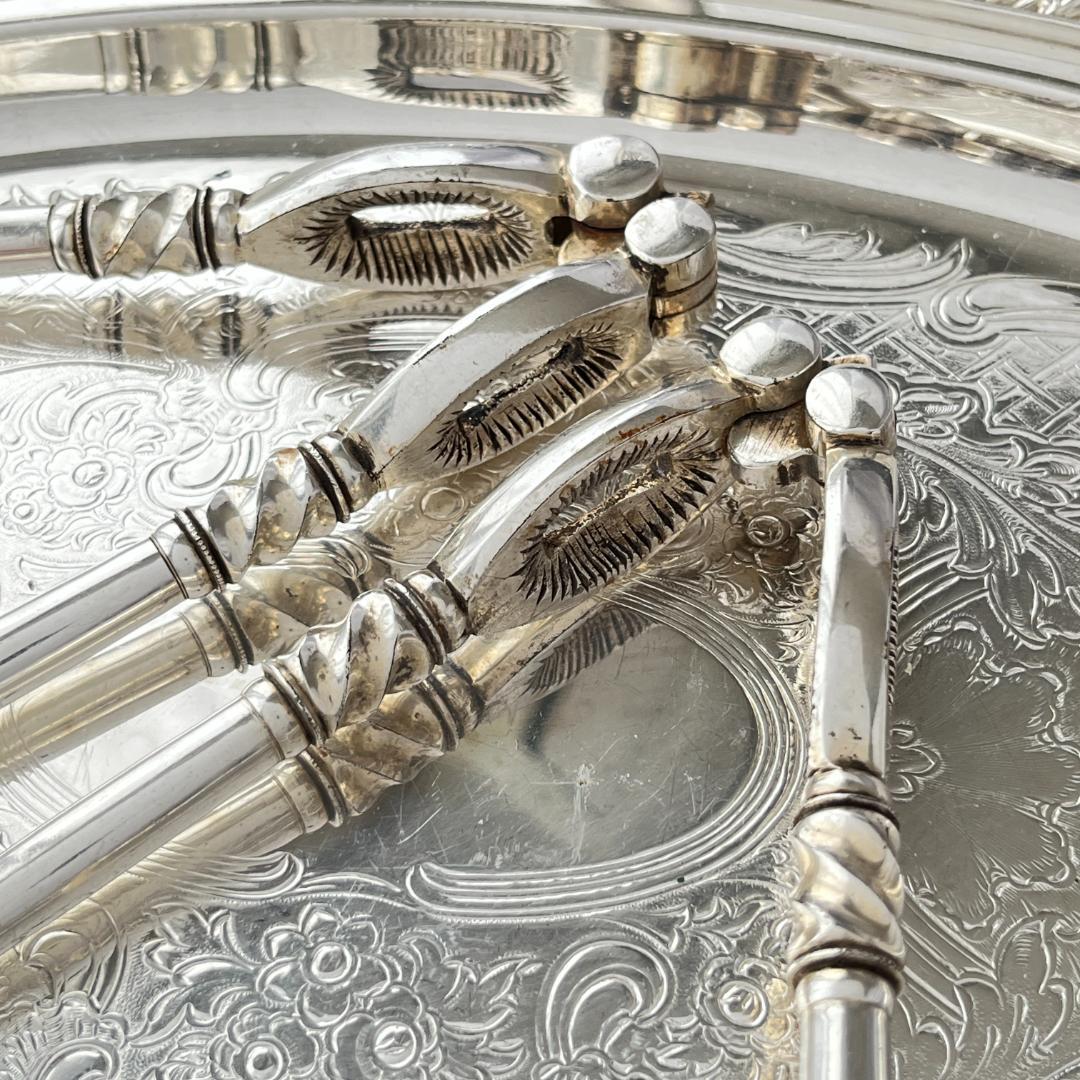 【英国】 グレープシザー / ナッツクラッカー / ピッカー【白蝶貝】