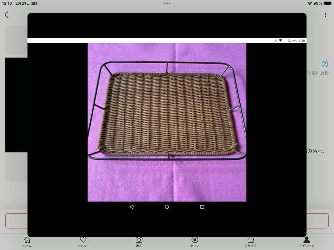 パントレー１３枚SET harevino