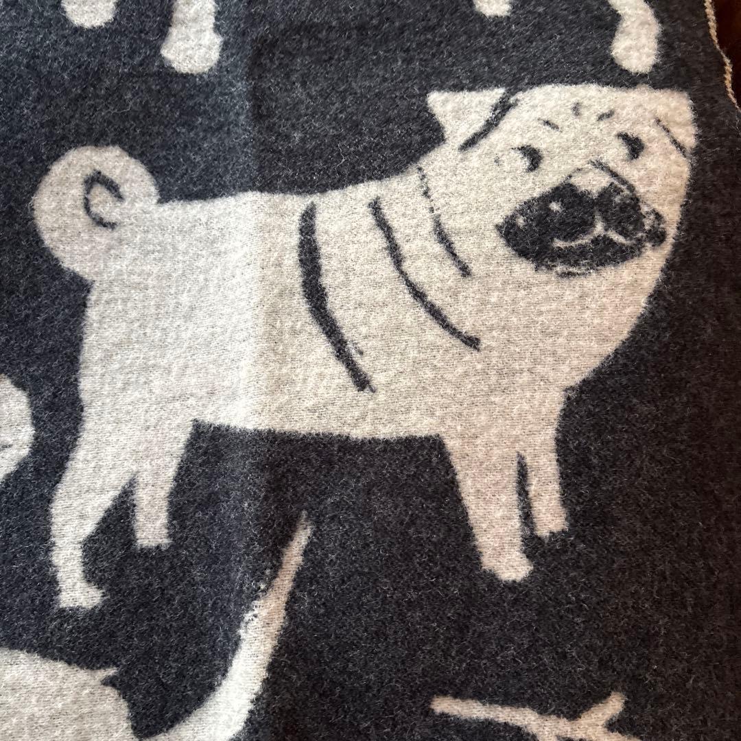 ウールブランケット　　12匹