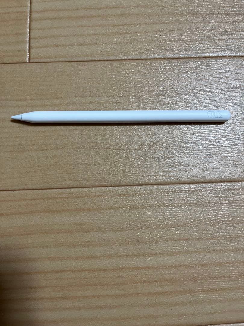 iPad pro 11インチ 第2世代 Apple pencil