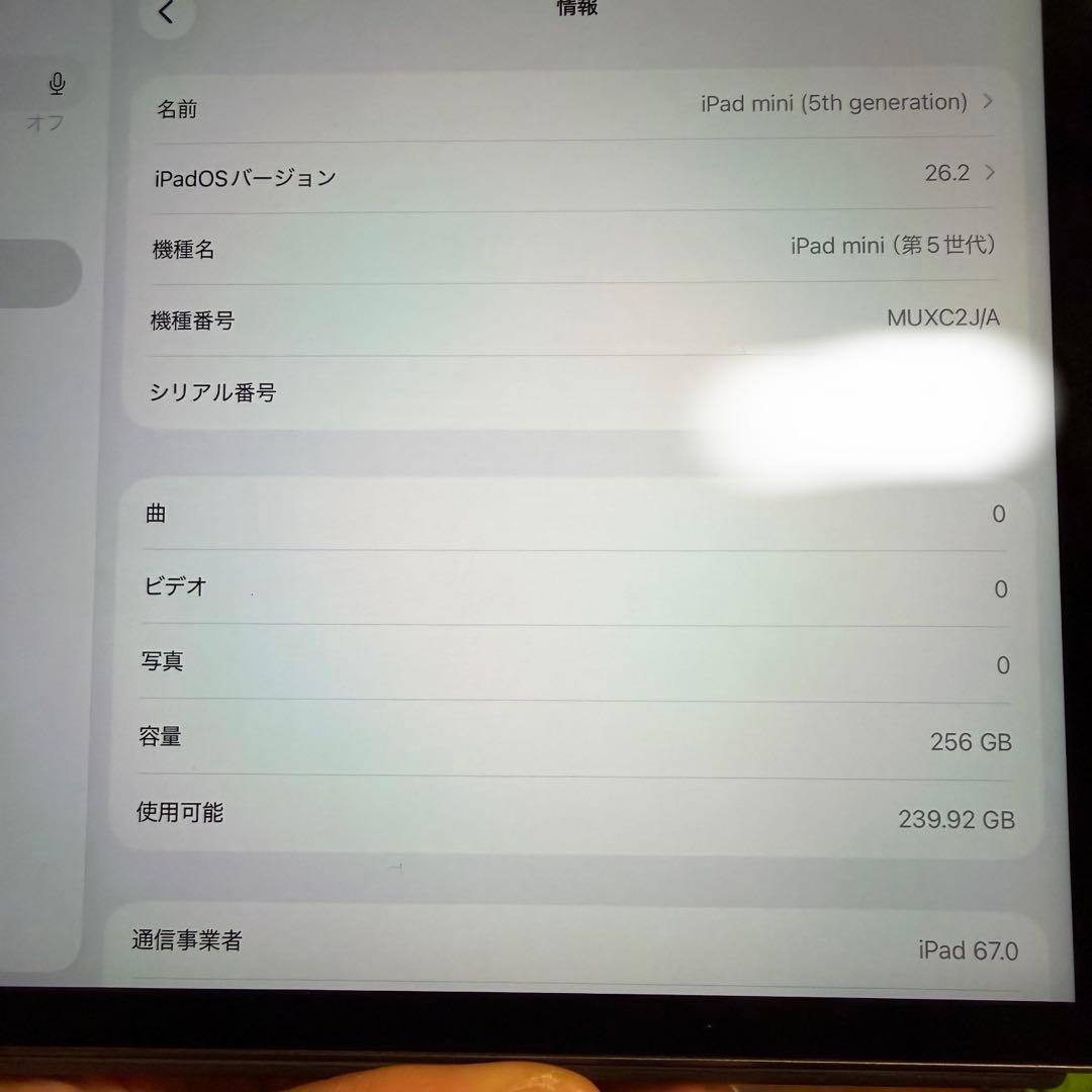 iPad mini 第5世代 256GB Wi-Fi＋Cellular スペース