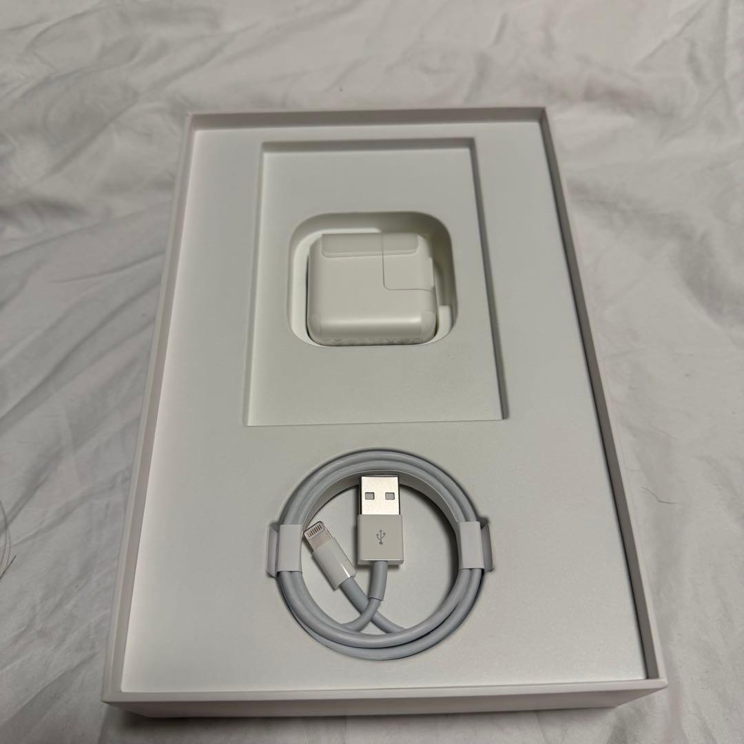 iPad mini 第5世代 256GB Wi-Fi＋Cellular スペース