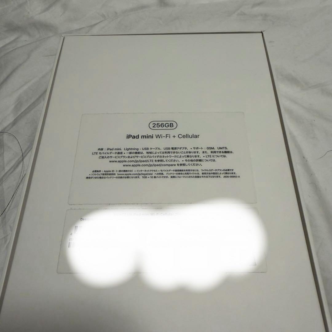 iPad mini 第5世代 256GB Wi-Fi＋Cellular スペース