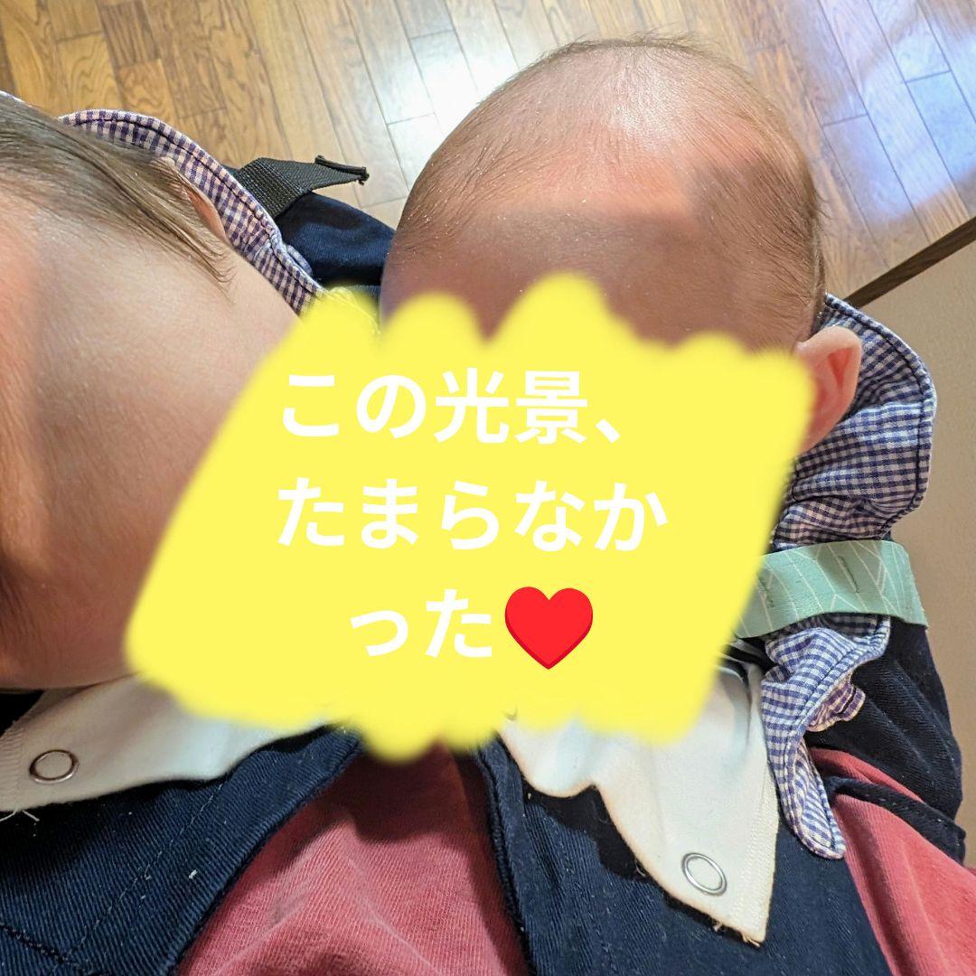 Weego 双子　抱っこ紐　ウィーゴーツインベビーキャリア　ネイビー