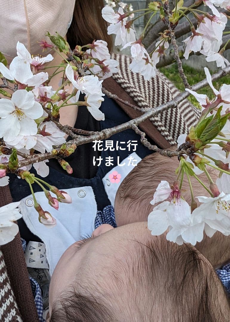 Weego 双子　抱っこ紐　ウィーゴーツインベビーキャリア　ネイビー