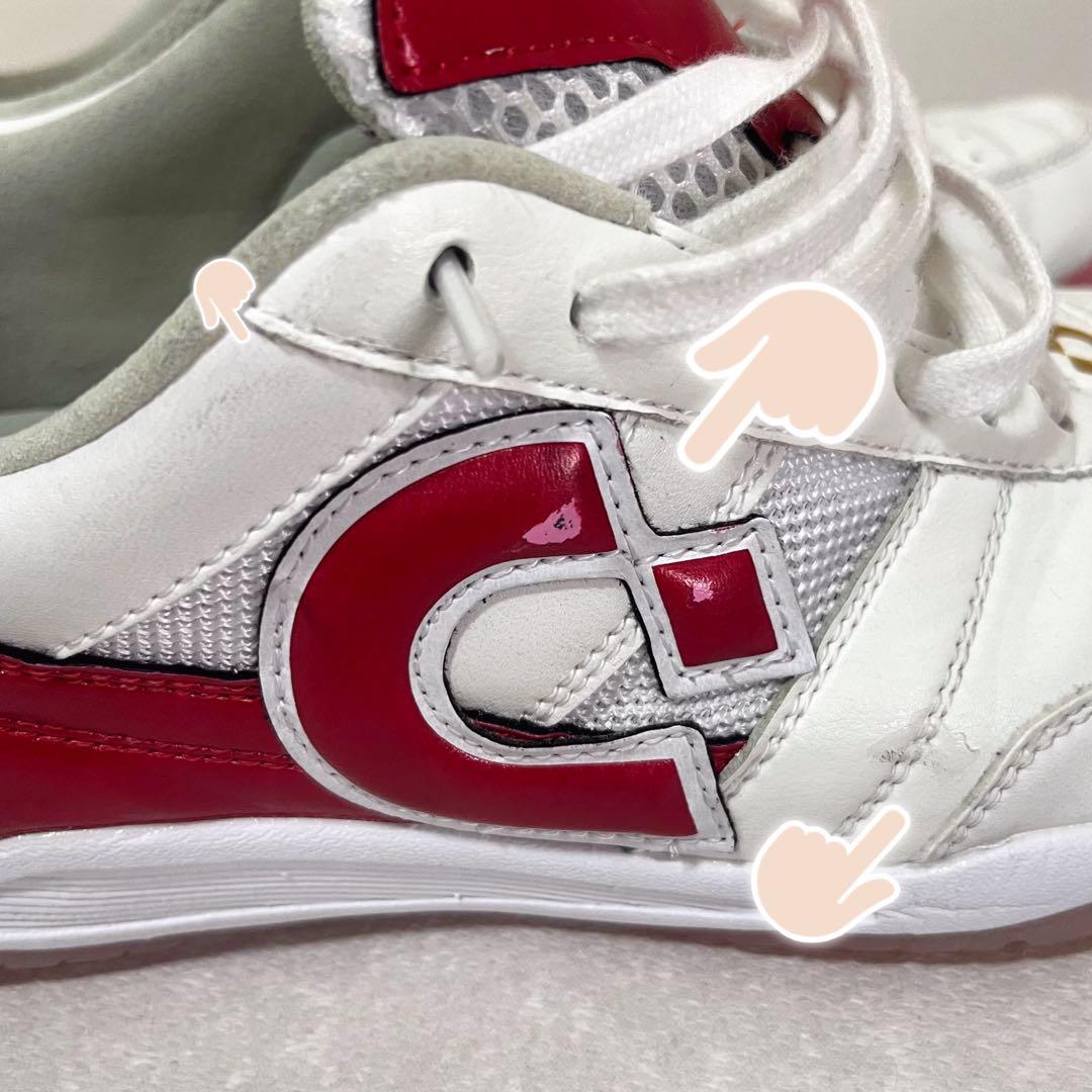 Desporte 20周年記念モデル