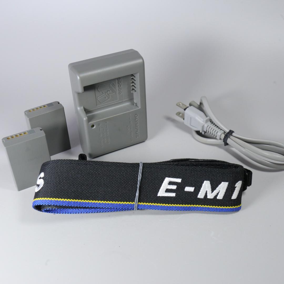 ☆美品☆ショット16,412回　OLYMPUS OM-D E-M1 ＃248