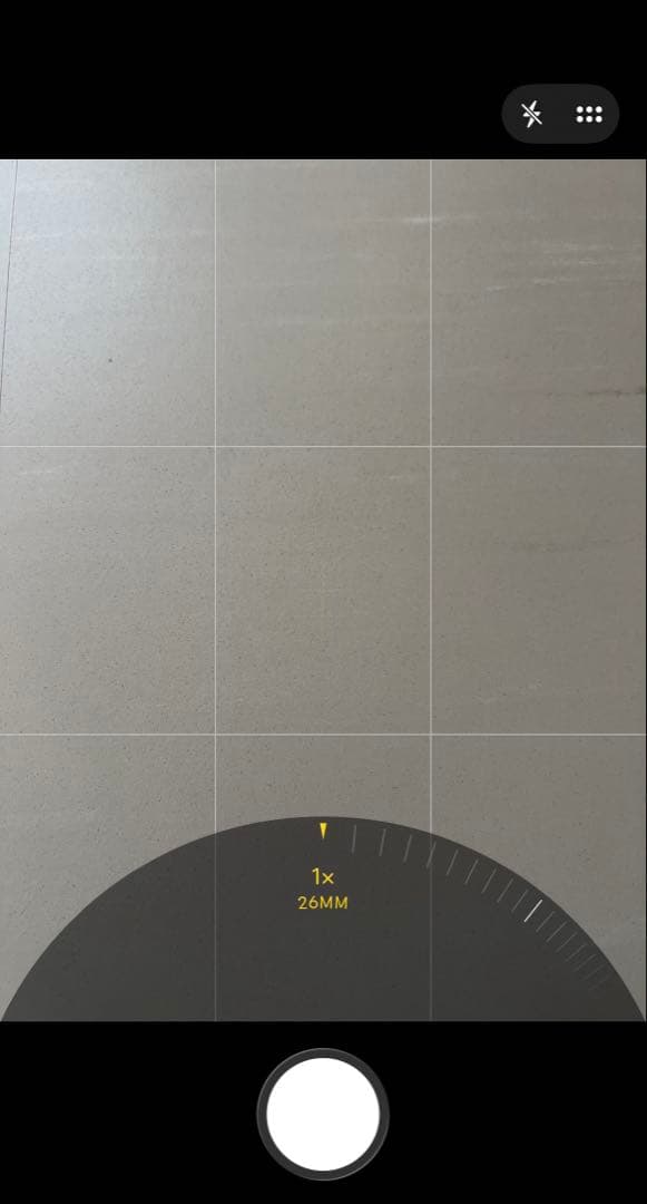 〈ジャンク〉iPhone13Pro｜256GB｜アルパイングリーン｜本体