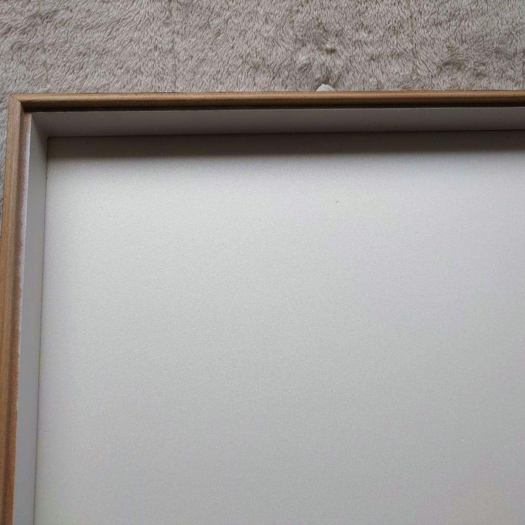 む*ー様 中野製作所　大型ドイツ箱　標本箱　中古　約42×51×6　⑤