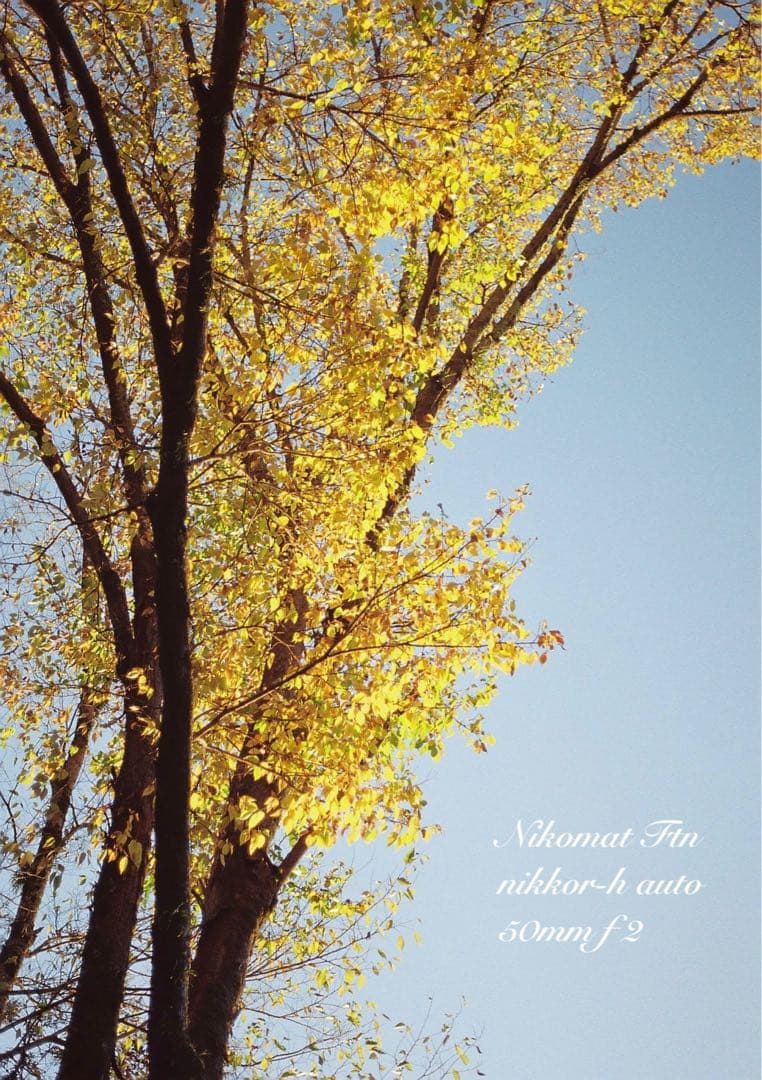 nikon ftn＊black＊50mm f2★完動品＊初期保証＊作例多数！