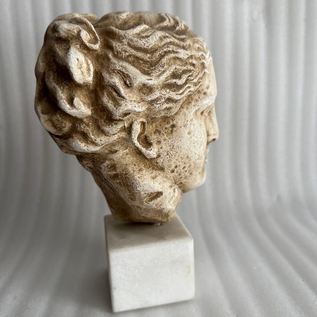 ギリシャ彫刻 石膏像 首像 古代 置物