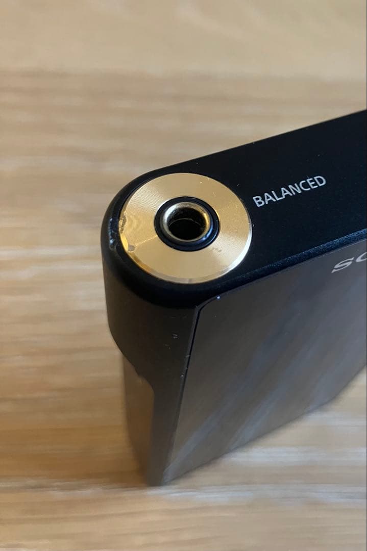 よ*う様 SONY NW-WM1A