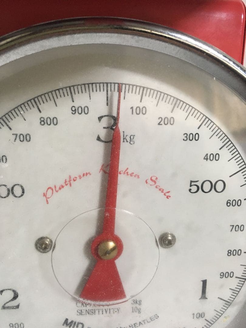 モルガンコンチョ　1921年　1枚