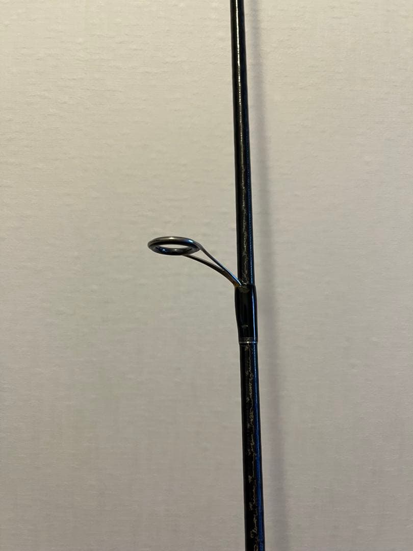 ポイズン　グロリアス　ロッド2本セット