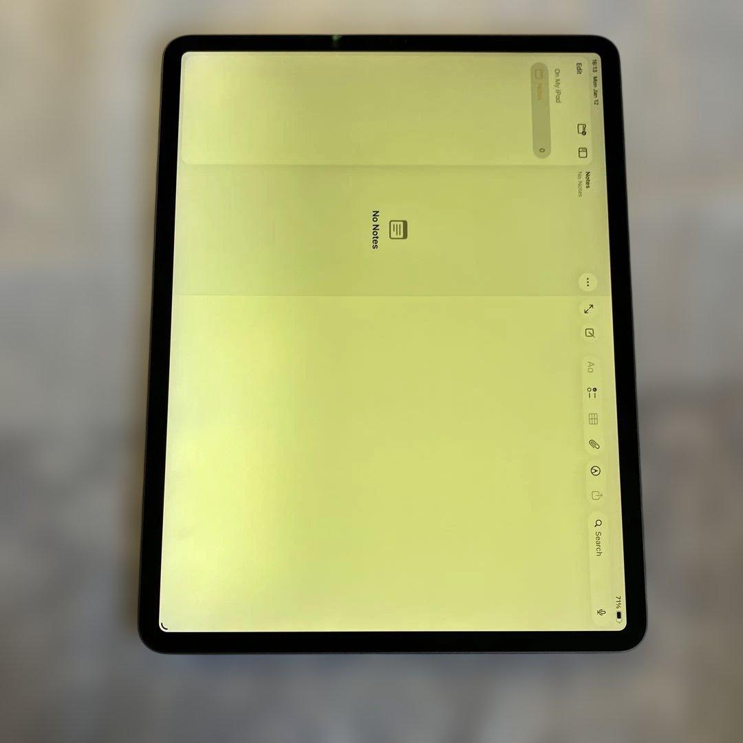 iPad Pro (12.9-inch) 3rd 256GB ジャンク