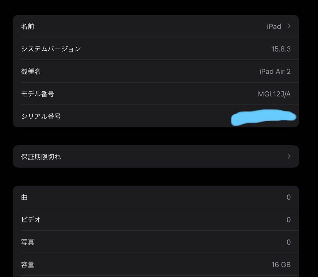 美品 Apple iPad スペースグレイ 本体