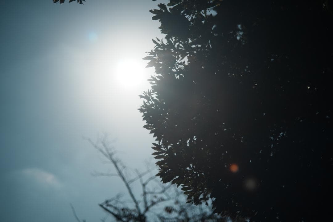 心地よいバブルボケと温かい描写 Fujinon 55mm F2.2 981