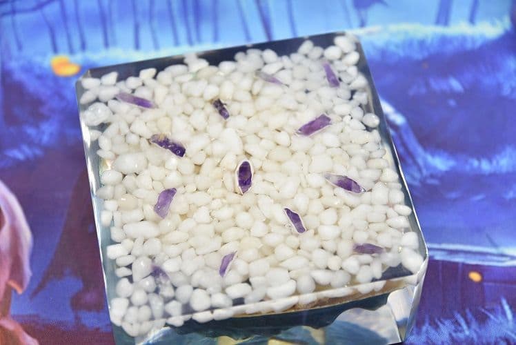 ハロウィン Jack-o'-lantern Abalone DA-11GR