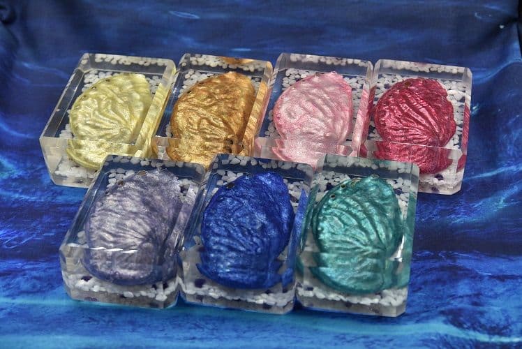 ハロウィン Jack-o'-lantern Abalone DA-11GR