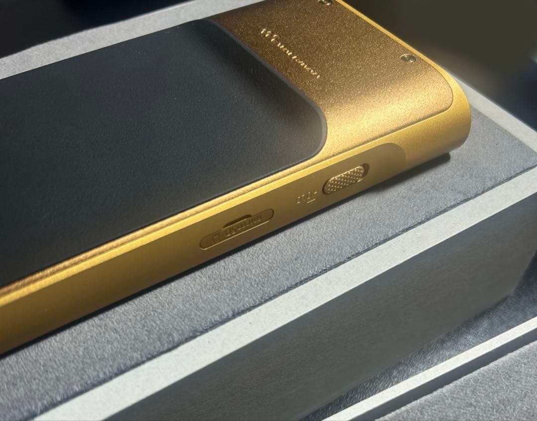 NW-WM1ZM2本体＋レザーケース