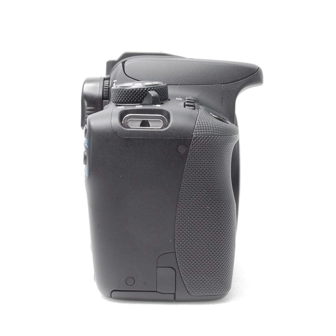 ✨超望遠デビュー✨初心者さんも安心✨✨CANON KISS X7✨ダブルレンズ