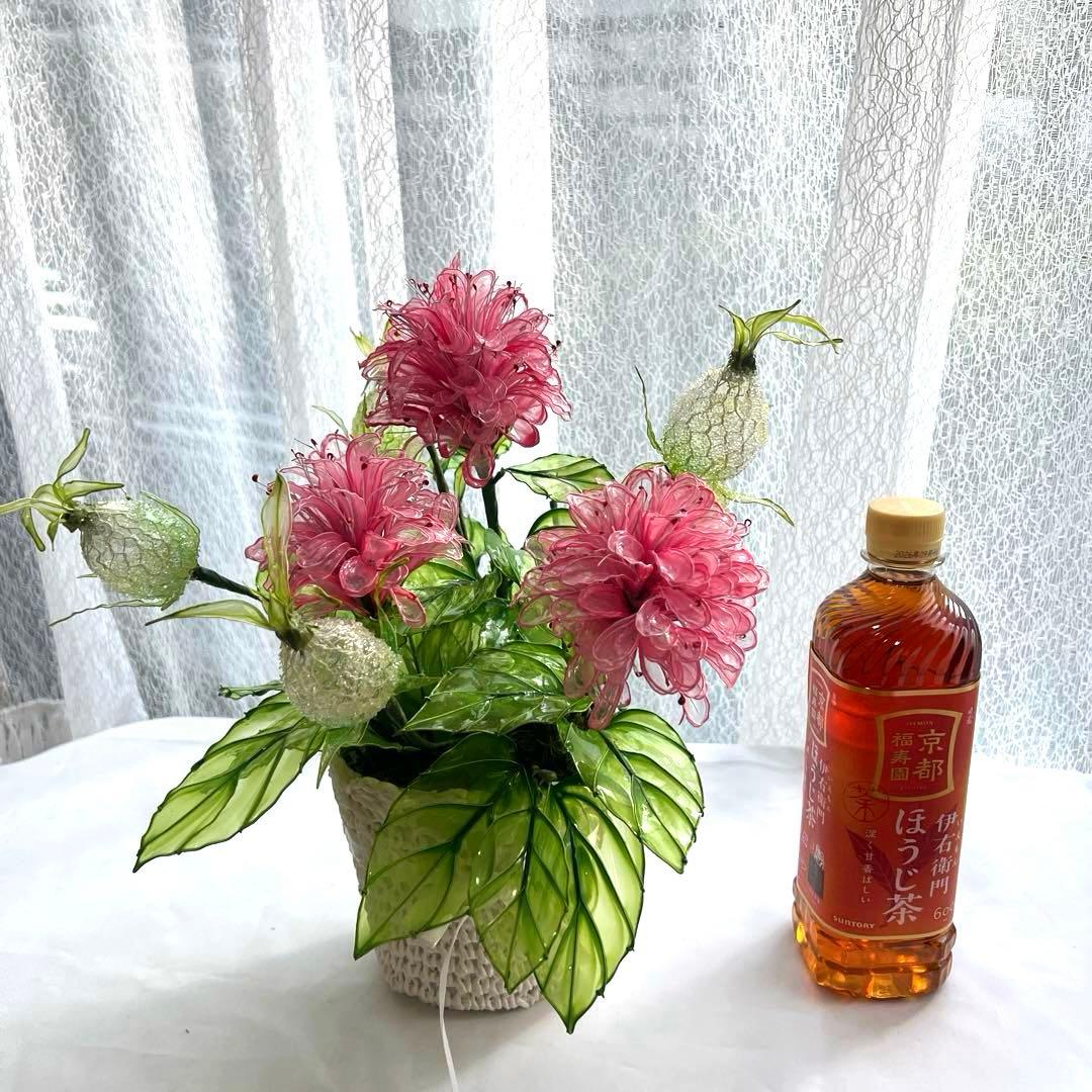 珊瑚花とパイナップルリリーの祝花アレンジ