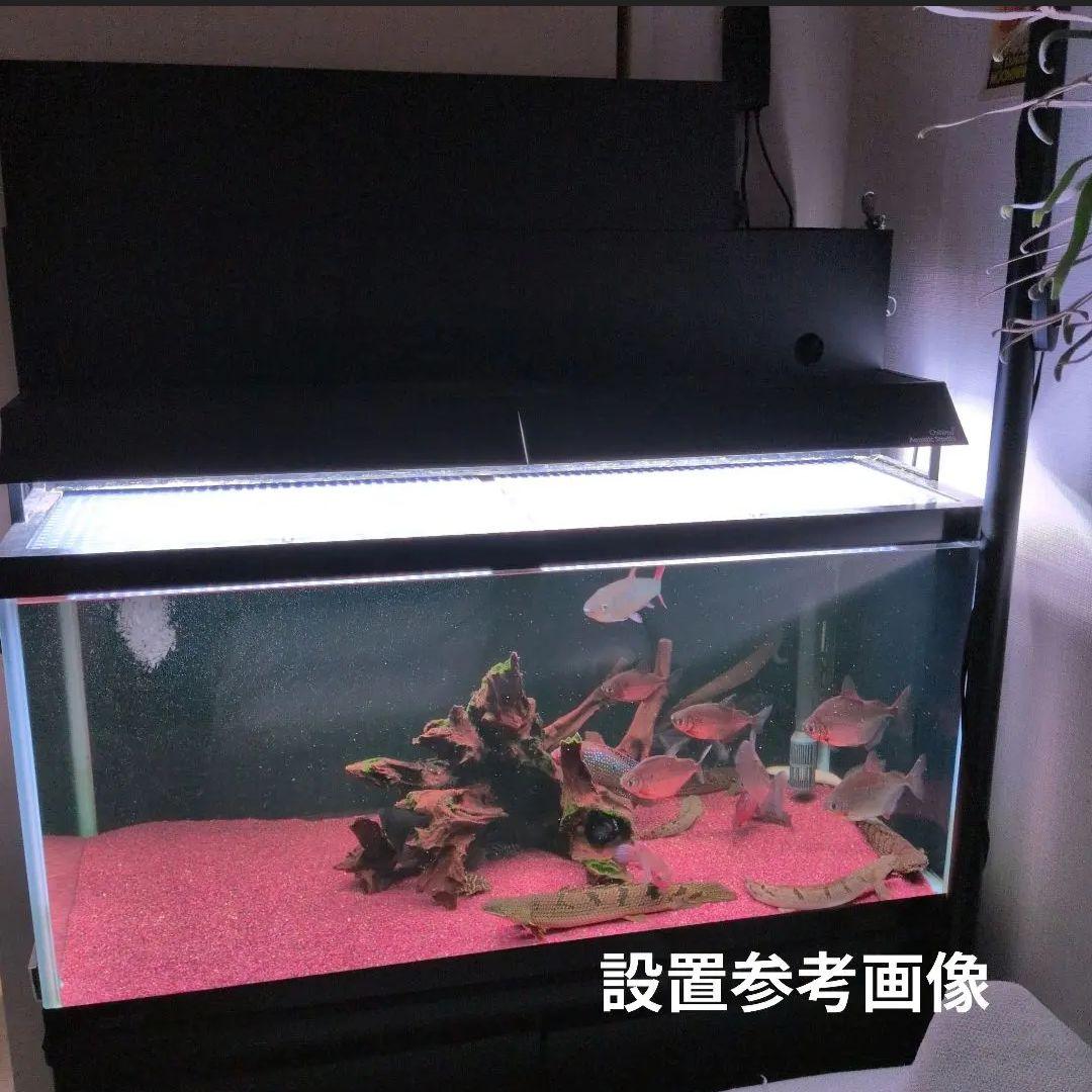 年末セール　1/4まで　90cm水槽用上部フィルター + ポンプ(レイシー)