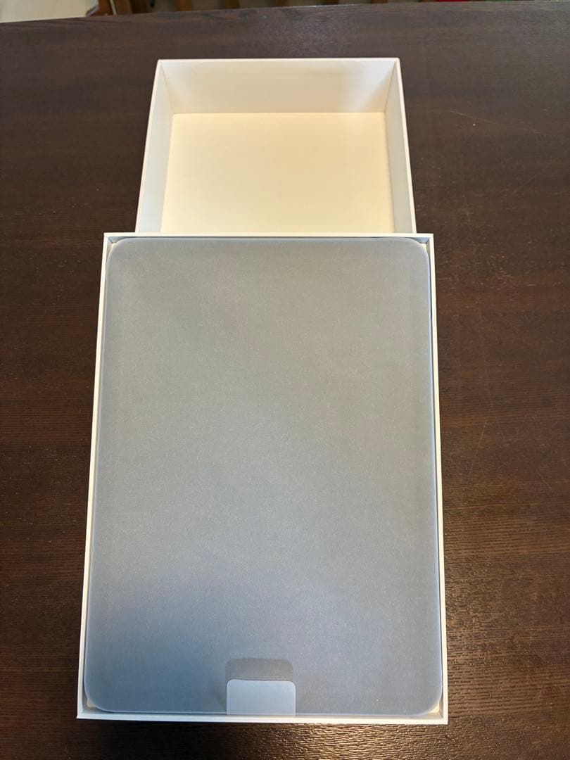 iPad 第10世代 64GB ブルー 水没ジャンク