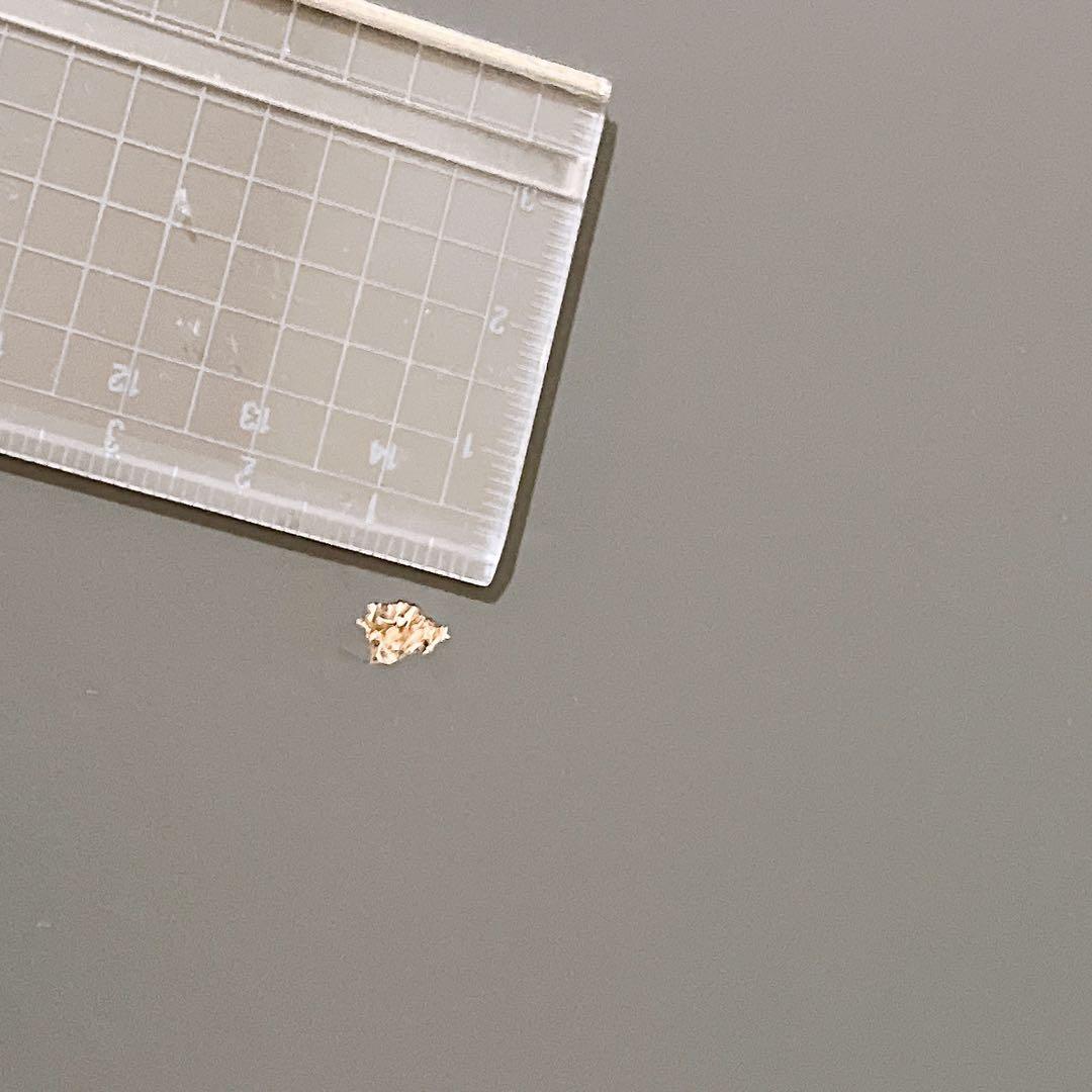 【直接引取のみ】IKEA デスク ALEX ダークグレー