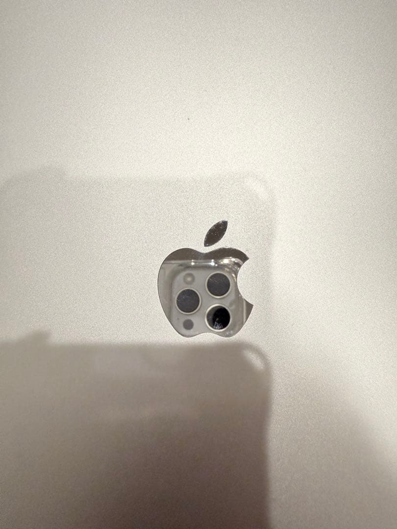 Apple iPad Pro 第5世代 シルバー