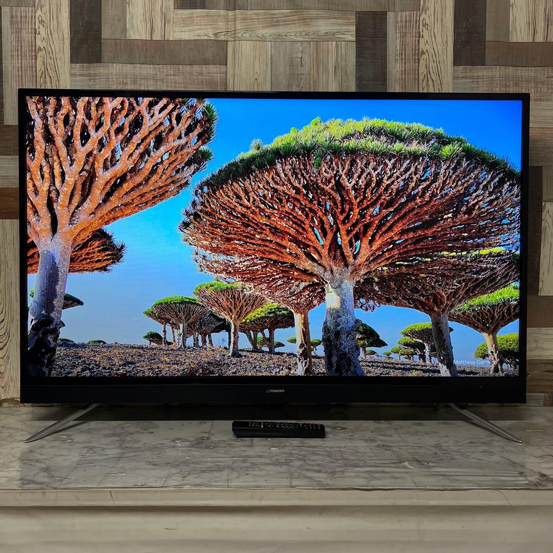 即日受渡❣️全国送料込MAXZEN50V型ゲームモード&外付HDD録画対応