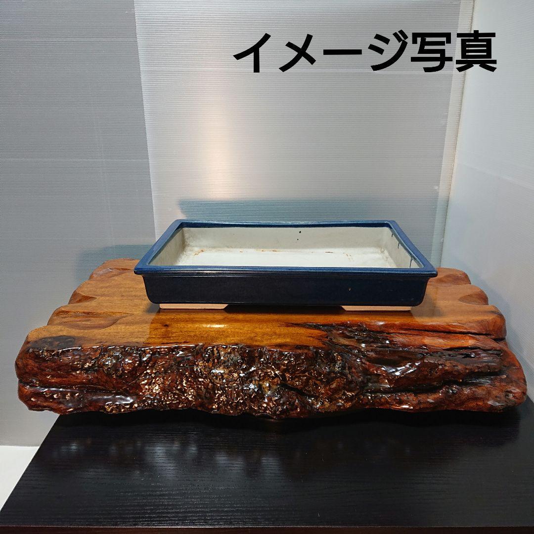 盆栽台 花台 飾り台 床の間 置台 一枚板 大型 bonsai 置物