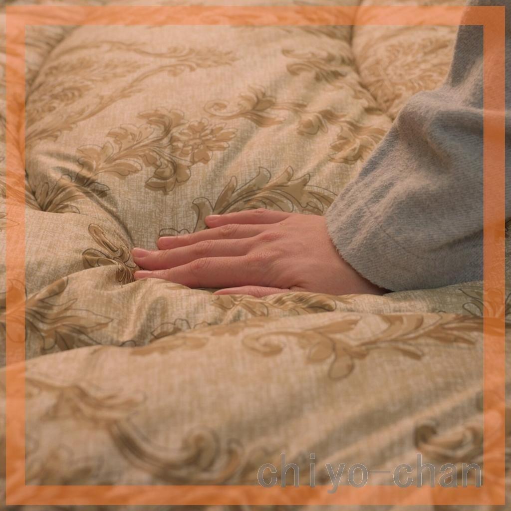 【２枚】モリリン ほこりが出にくい カーボンホット掛けふとん＜シングル＞ゴールド