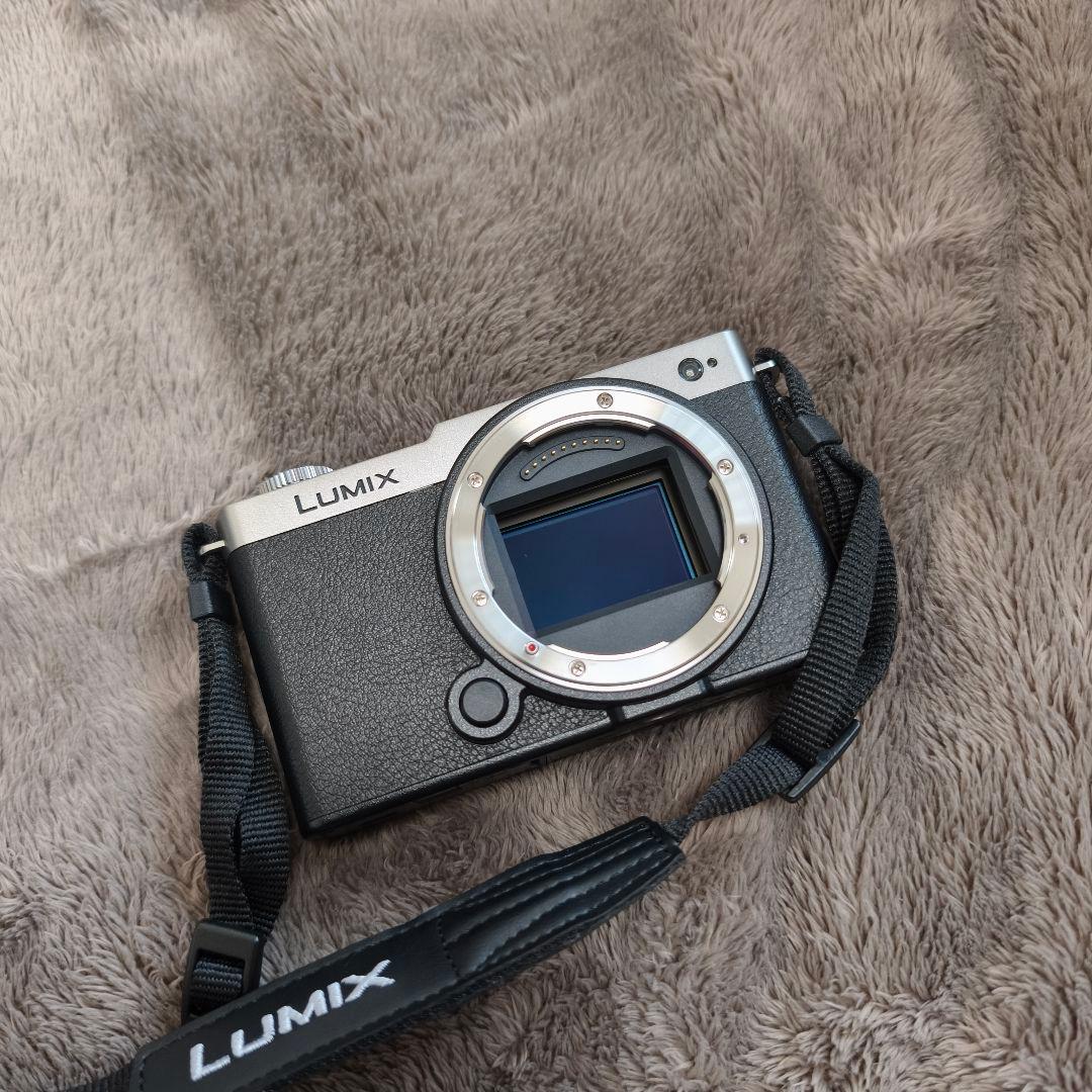 LUMIX S9 ダークシルバー【ボディのみ】
