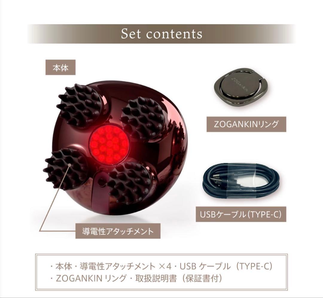 【美品】ZOGANKIN ゾーガンキンスカルプ