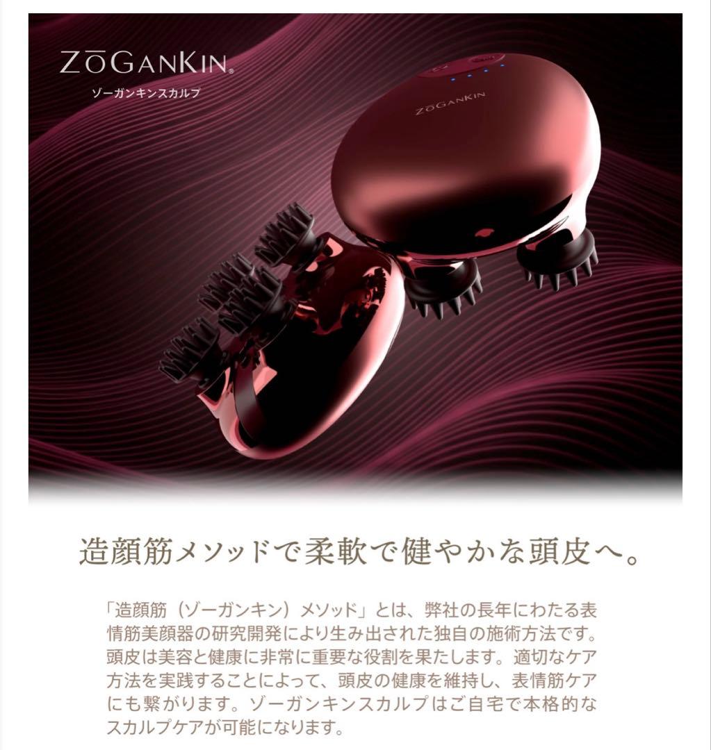 【美品】ZOGANKIN ゾーガンキンスカルプ