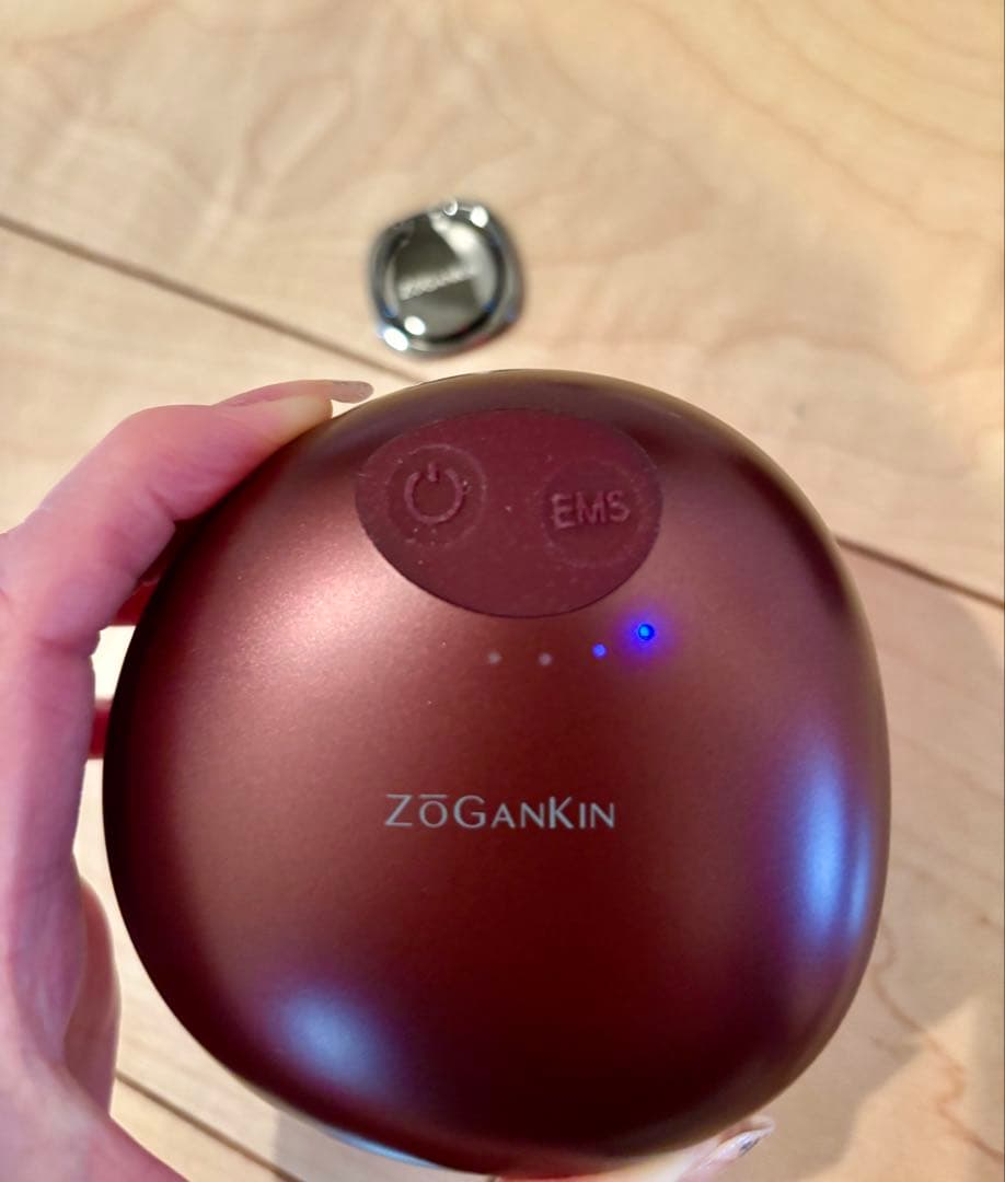 【美品】ZOGANKIN ゾーガンキンスカルプ