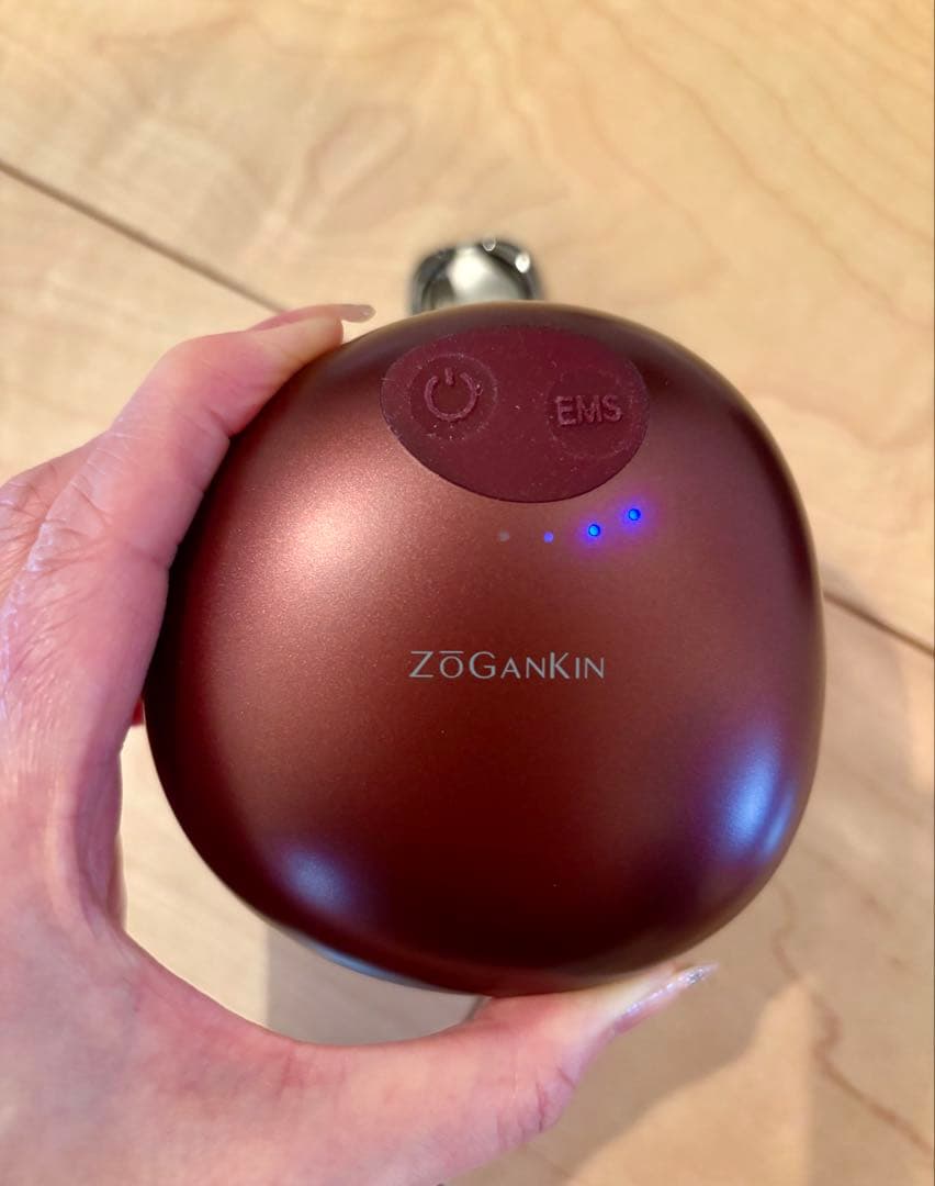 【美品】ZOGANKIN ゾーガンキンスカルプ