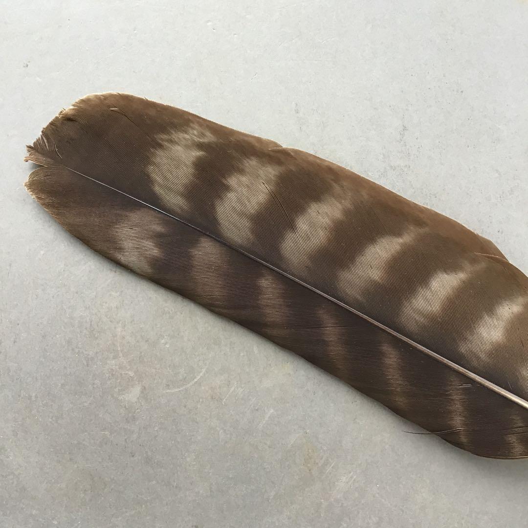 茶道具　羽箒　三ツ羽根(犬鷲一双)炉用•風炉用　紙箱　S28HB