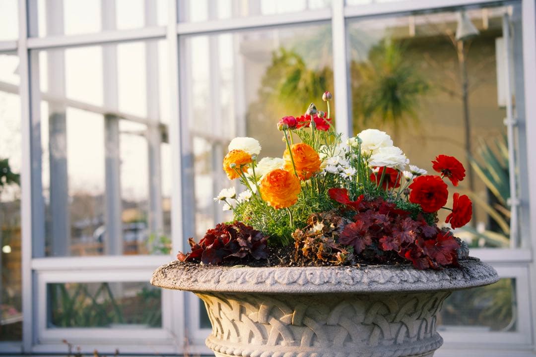 【作例あり】VILTROX AF 35mm F1.7 Z Nikon