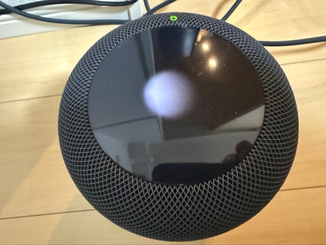 Apple Pod スペースブラック