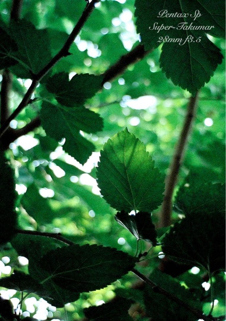 ★pentax sp＊希少品28mm f3.5前期型★完動品＊美品＊初期保証