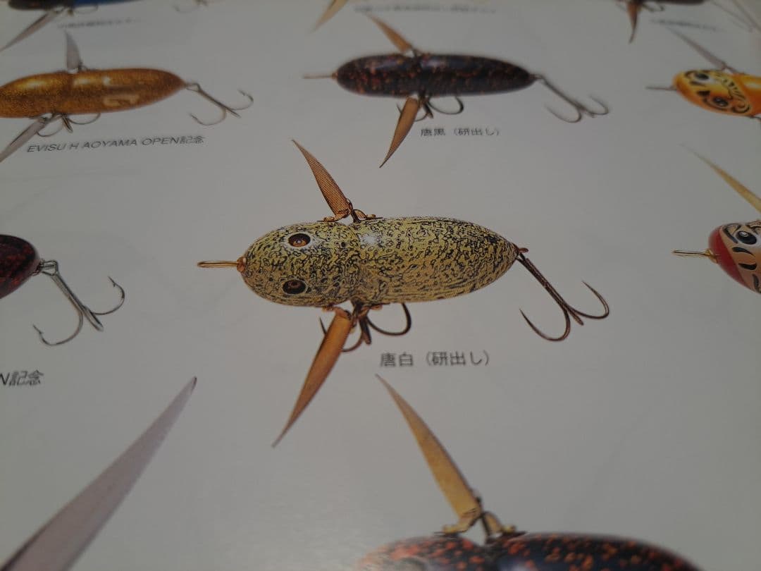 道楽　DOWLUCK　ドウラク　アブラゼミ　唐白　研出し