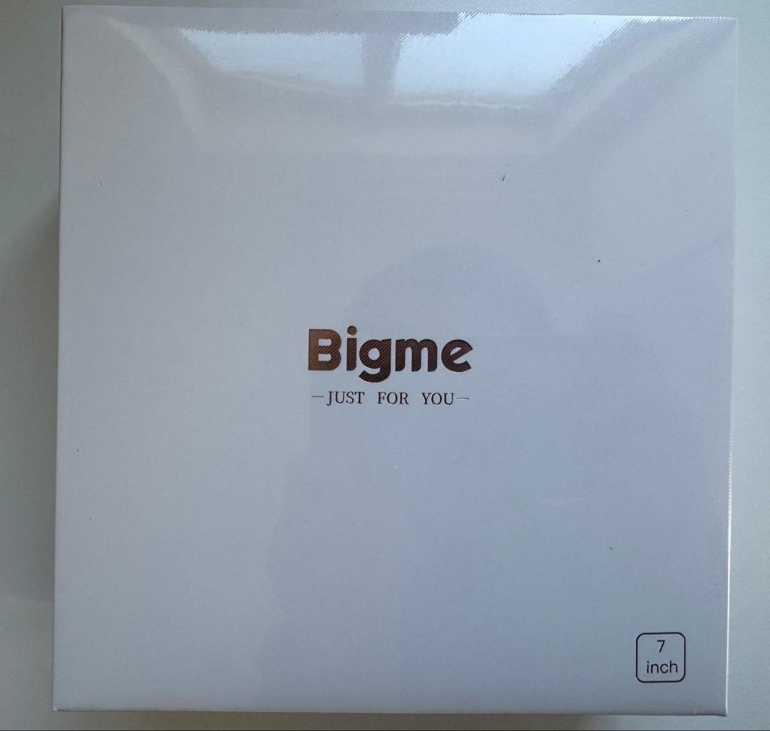 Bigme B751C 新品3点セット( 本体 + 専用ペン + 専用ケース )