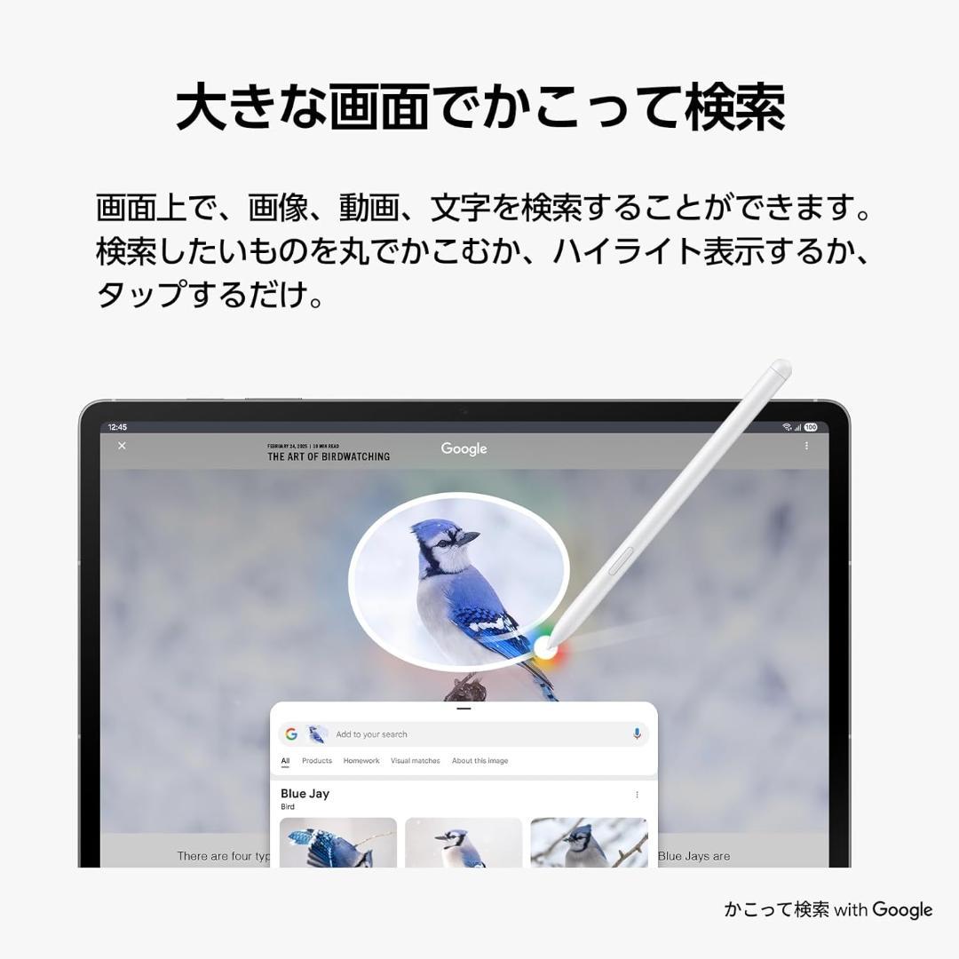 Samsung Galaxy Tab S10 FE 本体